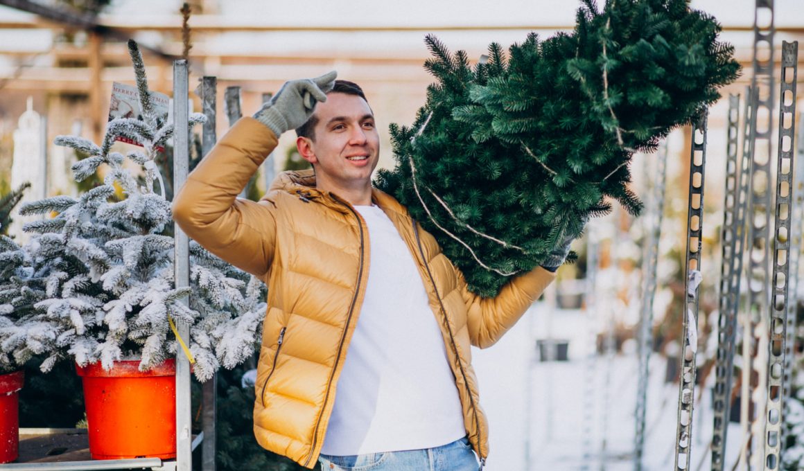 Cât costă un brad artificial de Crăciun bun în România? Ghid sincer despre prețuri și calitate
