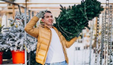 Cât costă un brad artificial de Crăciun bun în România? Ghid sincer despre prețuri și calitate